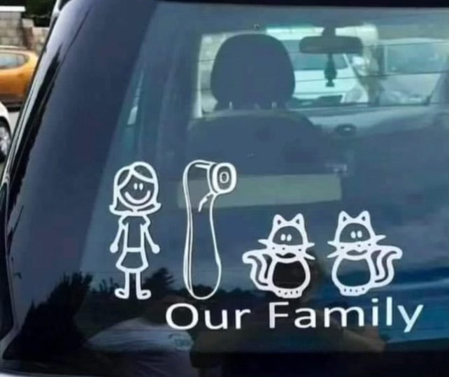 Business and other decals